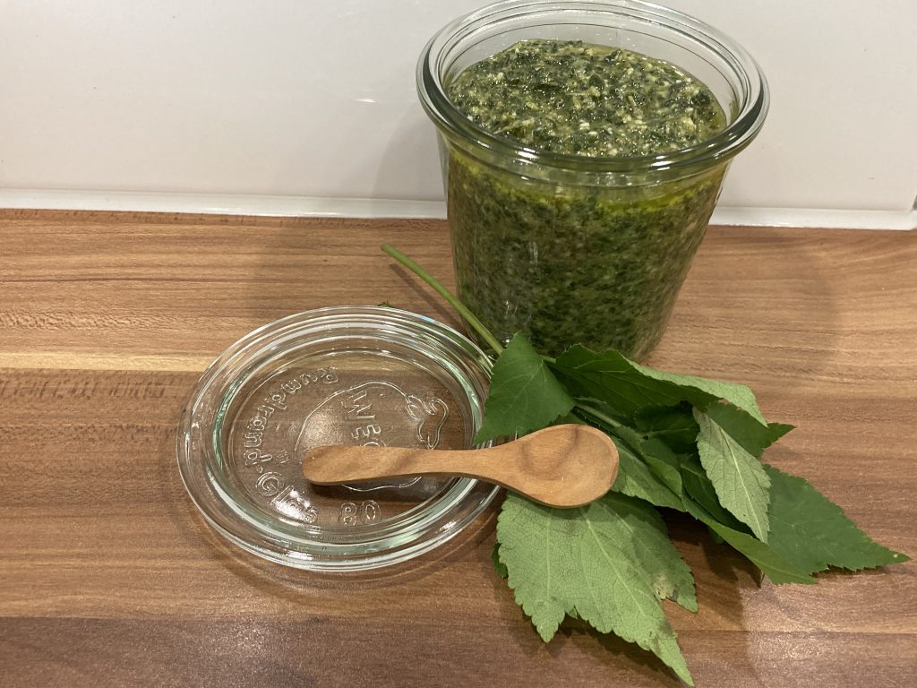 Giersch-Zitronenmelisse-Pesto