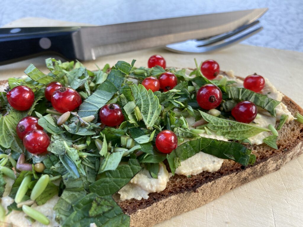 Wildkräuterbrot mit Johannisbeeren