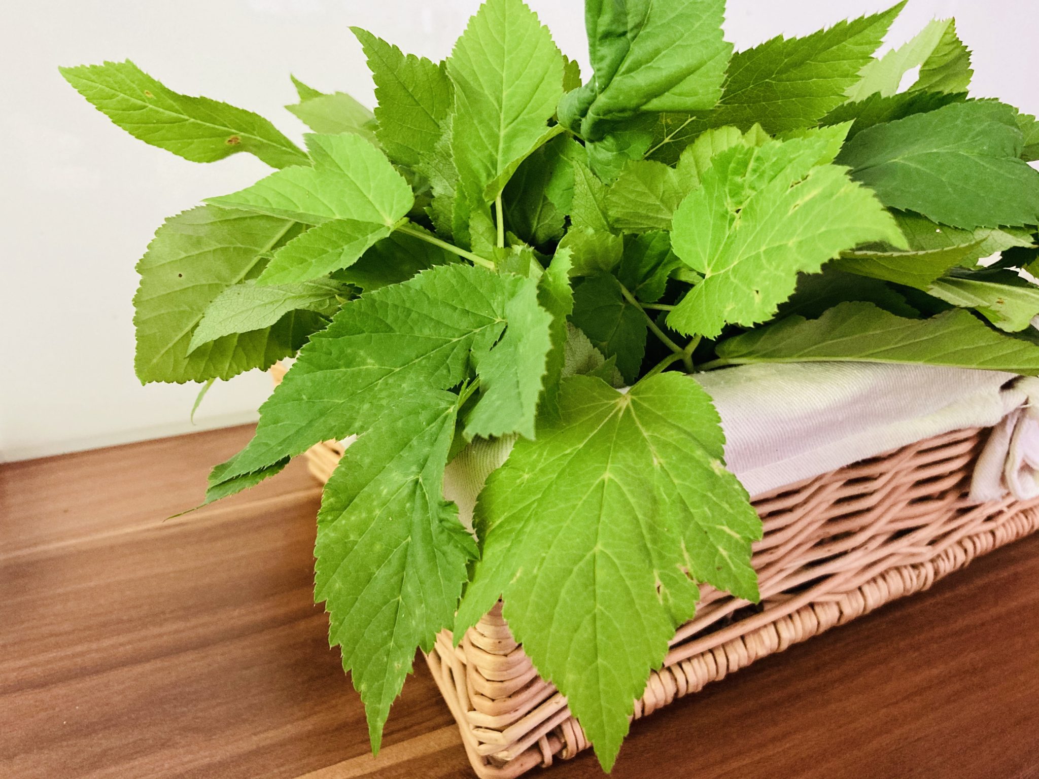 Giersch-Zitronenmelisse Pesto - Von-draussen.blog