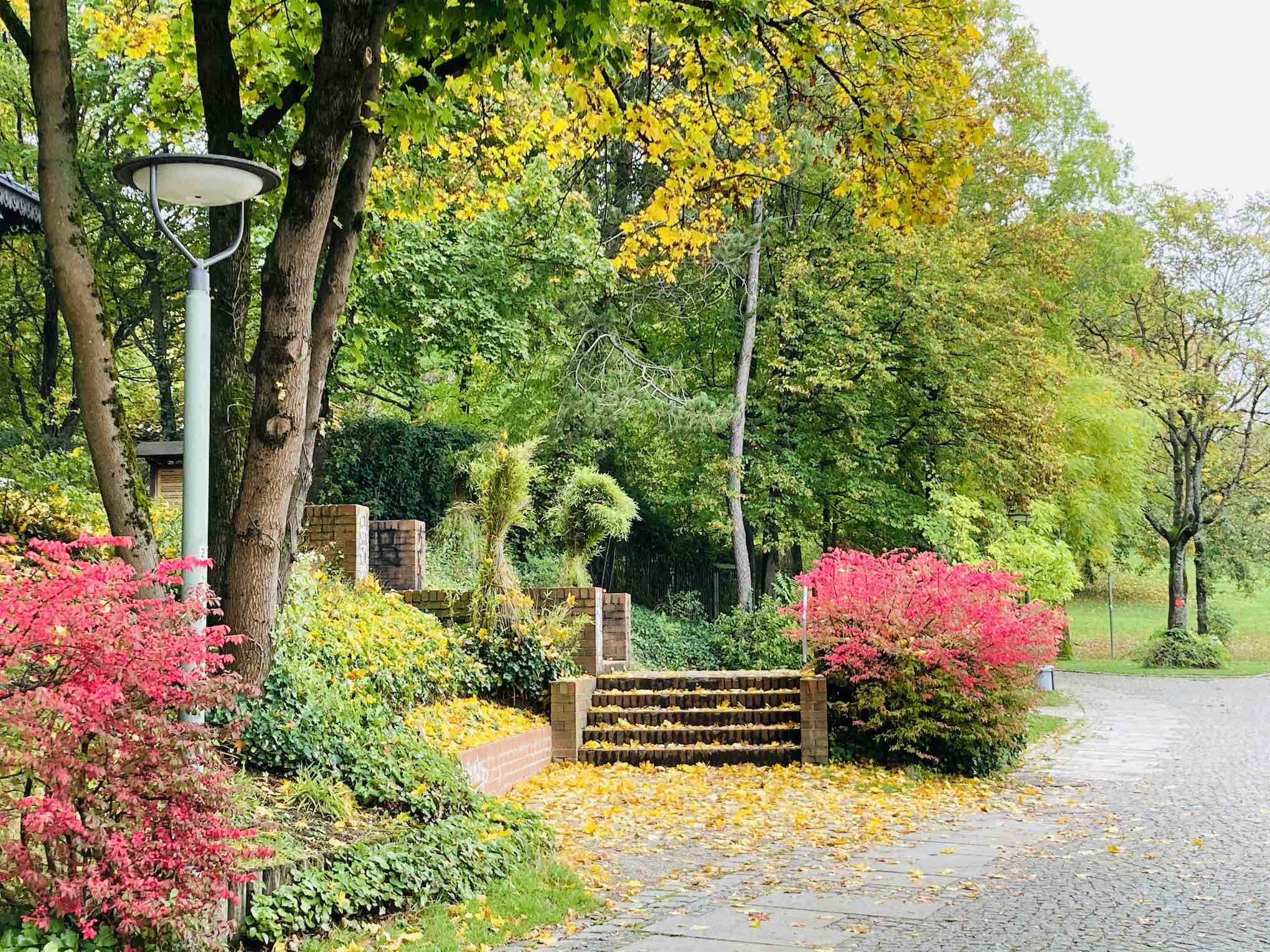 Herbstlandschaft im Westpark, München