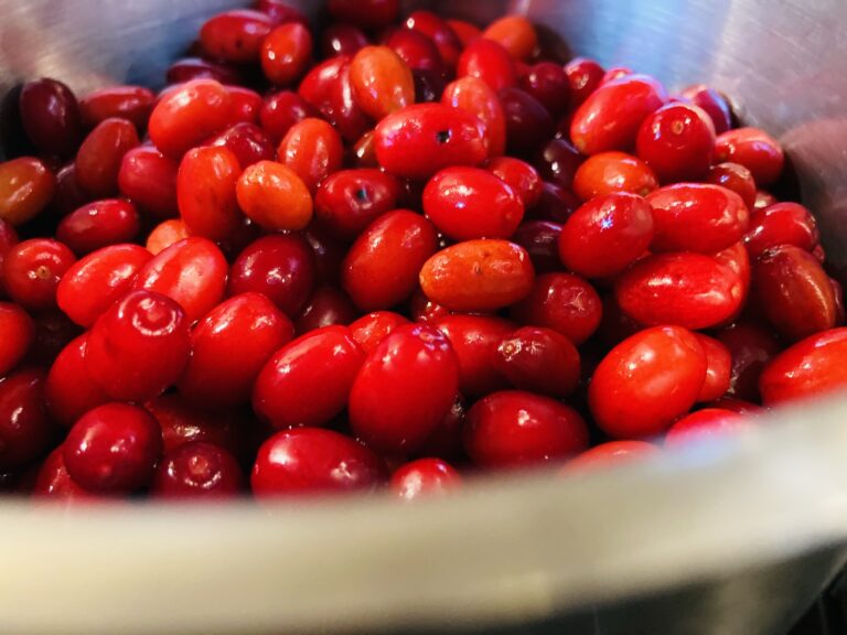 Kornelkirsche-Chutney. Wildobst auf dem Teller - Von-draussen.blog Kornelkirsche-Chutney. Wildobst auf dem Teller - Von-draussen.blog