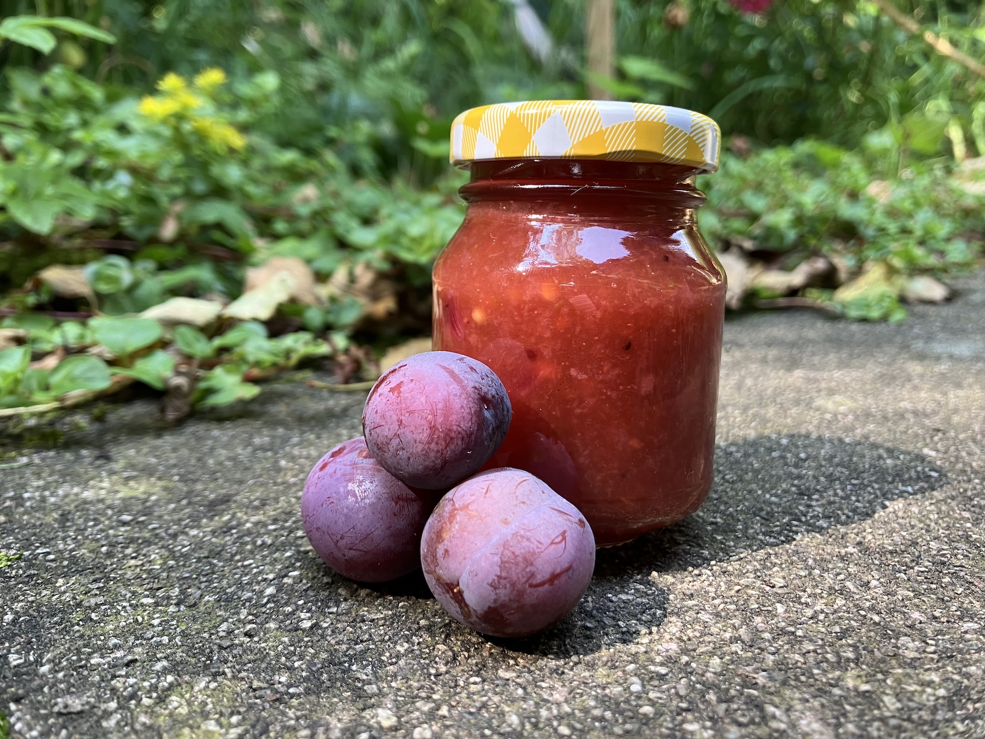 Wilde Pflaumen-Birnen-Chutney - Von-draussen.blog